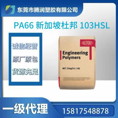 PA66 103HSL NC010 ¼ ȼ ͟ ᷀(wn) ͸ߜ