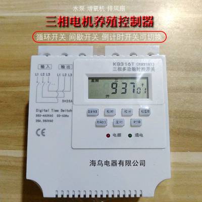KG316Tඨʱ380V ʱ ΢ʱؿ  ŷ ˮ 