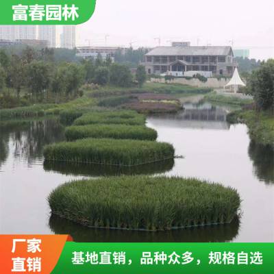 湖面浮岛 水质净化 水生态治理 河道绿化材料 水生植物浮床