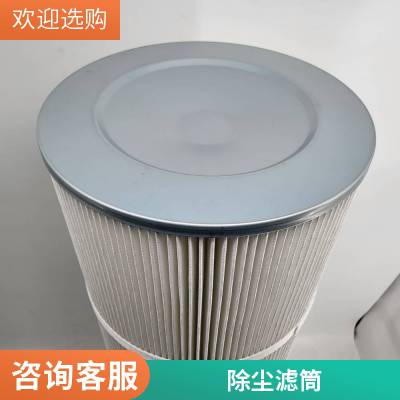 搅拌站仓顶滤筒 325*600 可用于喷砂作业行业 清灰容易