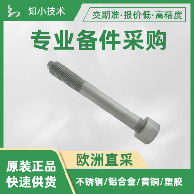 August Friedberg(AF) 镀锌六角头螺钉 EN14399-4 10.9 M20x85/46