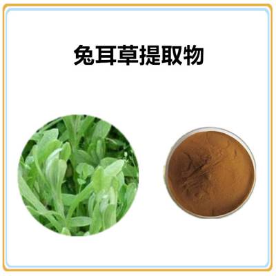 沃特莱斯生物 兔耳草提取物10:1 浸膏粉 多规格可定制 棕黄色粉末