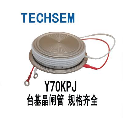 TECHSEM̨բY70KPJ KP2000A3000V3200VƵ¯ɿع