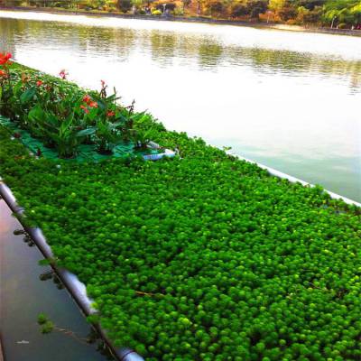 定制聚酯纤维浮动湿地 生态浮岛 漂浮湿地 生态滤床安装净水绿化工程