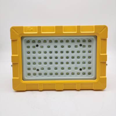 LED40W-ExdIICT6-IP65-AC220Vled