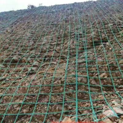 钢塑土工格栅护坡绿化22cm大孔 坡面防护护山绿化植物爬藤网