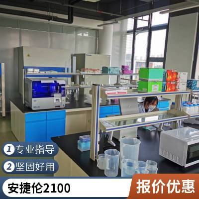 Agilent 2100 