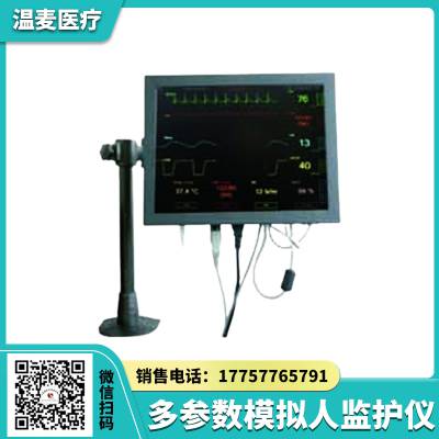 温麦医疗 急救专业技能训练模型 多参数模拟人监护 5导联心电图教具