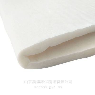 ҹӦ 450g޻Ƭ Ƭ ˿