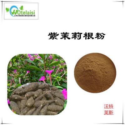 紫茉莉根粉 浸膏粉 可水溶 棕黄色粉末 沃特莱斯生物