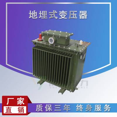 定制产品 S11-MRD-100kva地埋式变压器 S11地埋式变压器全铜线圈、发货快