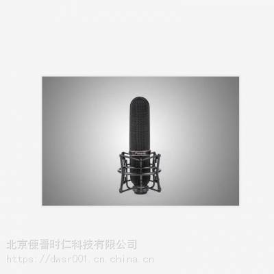 Platane Pepper 普拉塔花椒网络直播K歌主播录音棚话筒录音麦克风