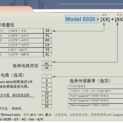 ¶Ǵ-100-20 ͺ:Sira02ATEX2130X ţM348485
