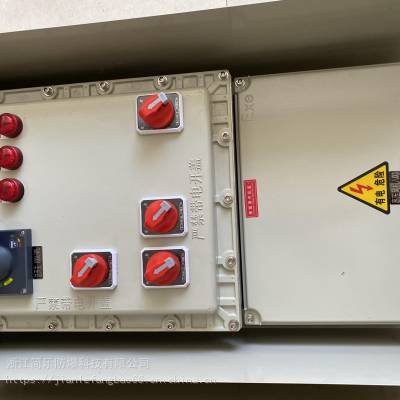 IP54防爆配电箱不锈钢控制箱正压柜检修电源仪表箱
