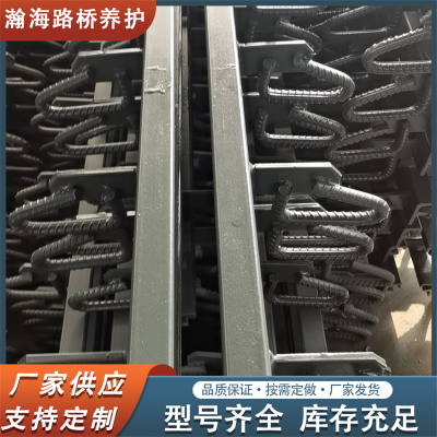 CD40型公路桥梁伸缩缝多向变位 GQFd40型桥面变形缝装置 减震好