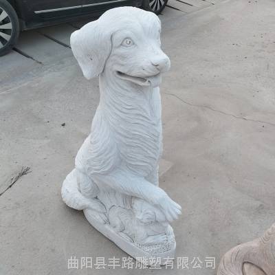 ʯ񹷴ʯͥԺ***ƷǹʮФʯͷС