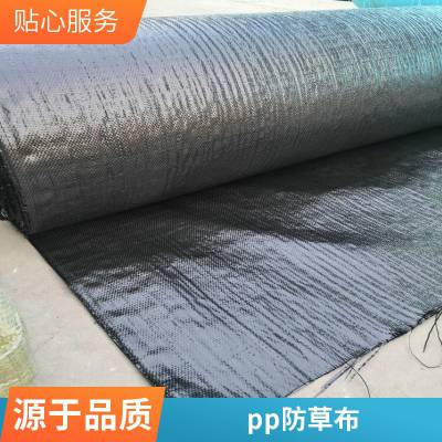 辉诚透水透气防草布 PP/PE材质 黑色农用除草布 90g遮草布