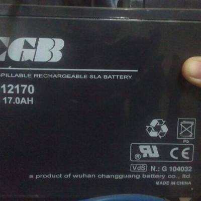 CB12100012V100ah ԭװƷ ȫ