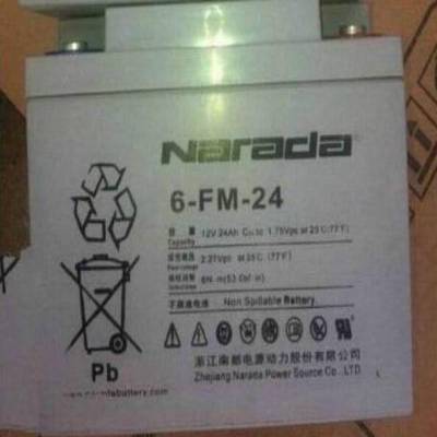 ϶6-FM-24㽭϶12V24AH󱸵Դר