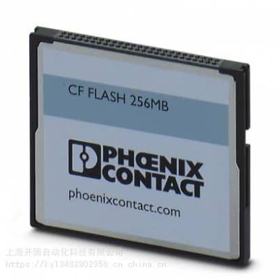 ˹洢 - CF FLASH 256MB APPLIC A - ̬洢