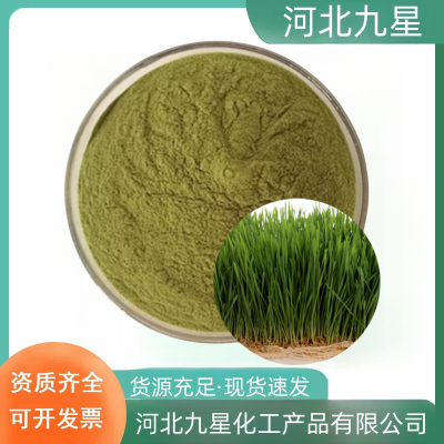 麦苗粉 食品级植物提取物 全水溶粉末 食品原料麦苗汁粉