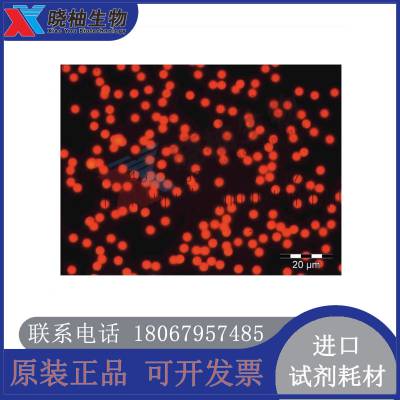 ThermoFluoroMax红色荧光微粒溶液60ml/90mlR0300B R100B R200B