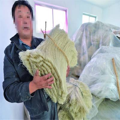 еǮ ˿ ȷ 