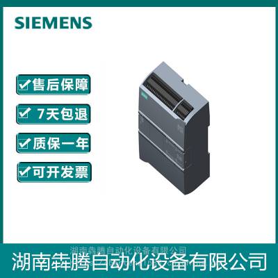 西门子S71200PLC模块6ES72970AX300XA0 S7-1200电池板包邮