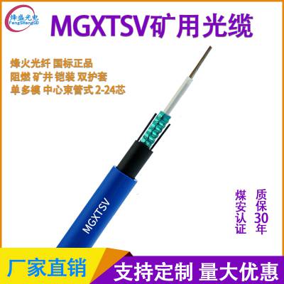 矿用MGXTSV-4B1蓝色阻燃单双护套6/8/12纤芯平行钢丝铠装井下用防爆光缆