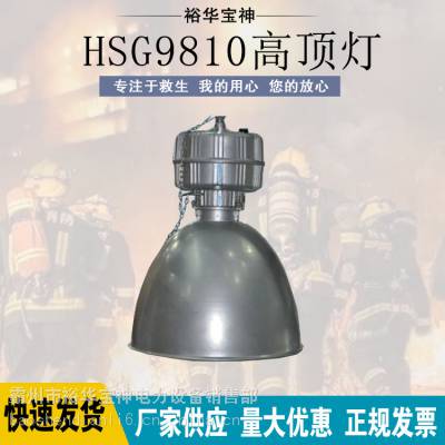 大功率节能高顶灯HSG9810金卤投光灯体育场馆深照工厂灯