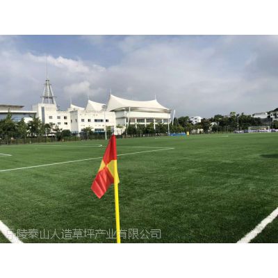 红塔体育中心国际足联FIFA认证人造草坪足球场