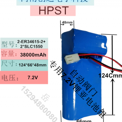 7.2V38Ah供热管网二次网物联网平衡阀一次性锂亚电池河南创达HPST生产ER34615电池组