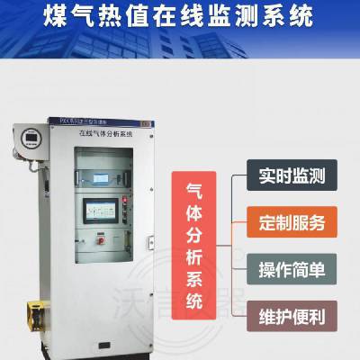 热值气体分析系统 气体成分分析仪 热值实时显示