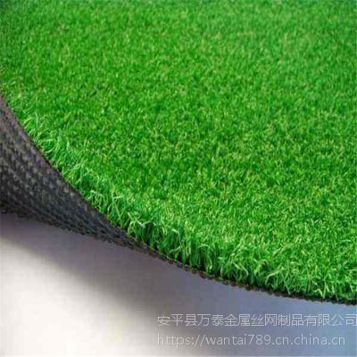 1cm草坪绿网 塑料丝草坪 2米高草皮围挡