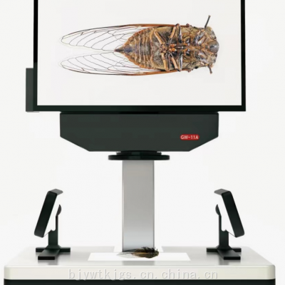 昆虫标本拍摄成像系统 型号:GW-11A 金洋万达