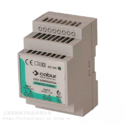 Cabur¥׵Դ: CSD1 ϵ