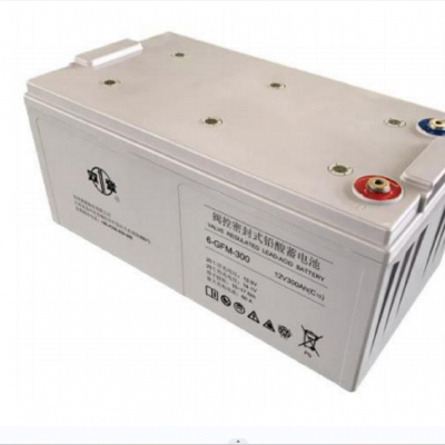 ˫Ǧ6-GFM-300 12V300AH (C10)