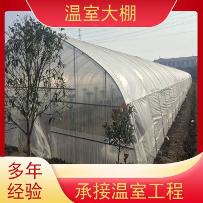 珠海金湾 建造养殖温室 植物培育大棚 果蔬一亩 中科 外形美观 ZKJW-01