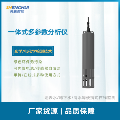 WMP-300 一体式多参数分析仪 光学电化学检测 自清洁