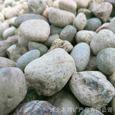 水过滤鹅卵石 树坑用鹅卵石 砾石 厂家批发