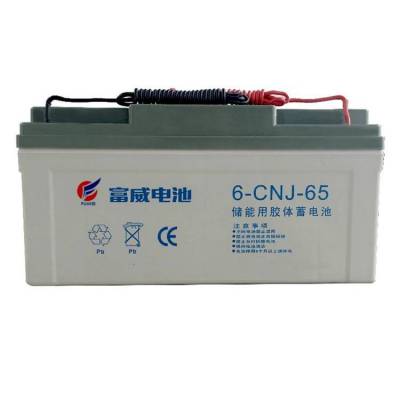 富威胶体蓄电池6-CNJ-65 12V6***H后备储能 UPS电源专用