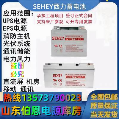 SEHEY西力蓄电池12V200AH免维护NPG200-12UPSEPS直流屏太阳能专用