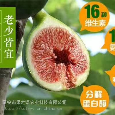ɽ޻硢2cm޻硢2cm޻