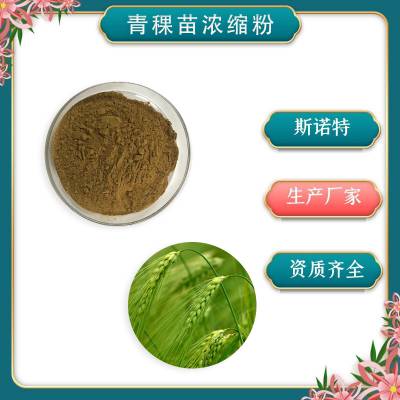 青稞苗浓缩粉 资质齐全 斯诺特