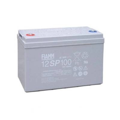 *** 12SP100 ֱ  ͨѶ FIMM12V100AHǦ