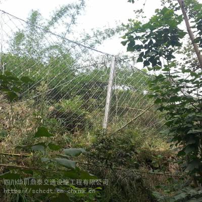 景区防落石防护网 缠绕型边坡防护网 生态绿化防护网经久耐用