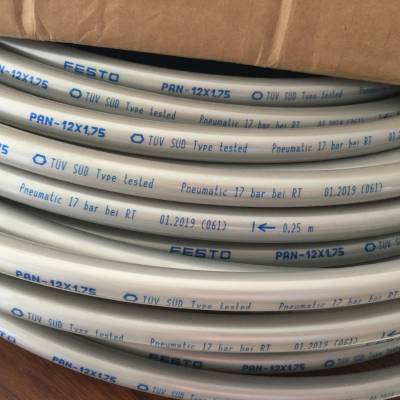 FESTO***Ӧ 152702 PAN-12X1,75-SI