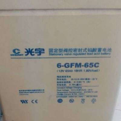 Ӧ6-GFM-65 12V6***H ֱ/UPS/EPS