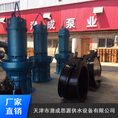 天津潜成大口径漂浮式深水轴流泵_排涝专用深水轴流泵市场价格