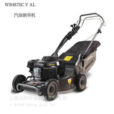 άWB487SCVAL߲ƺ19԰ָݻ